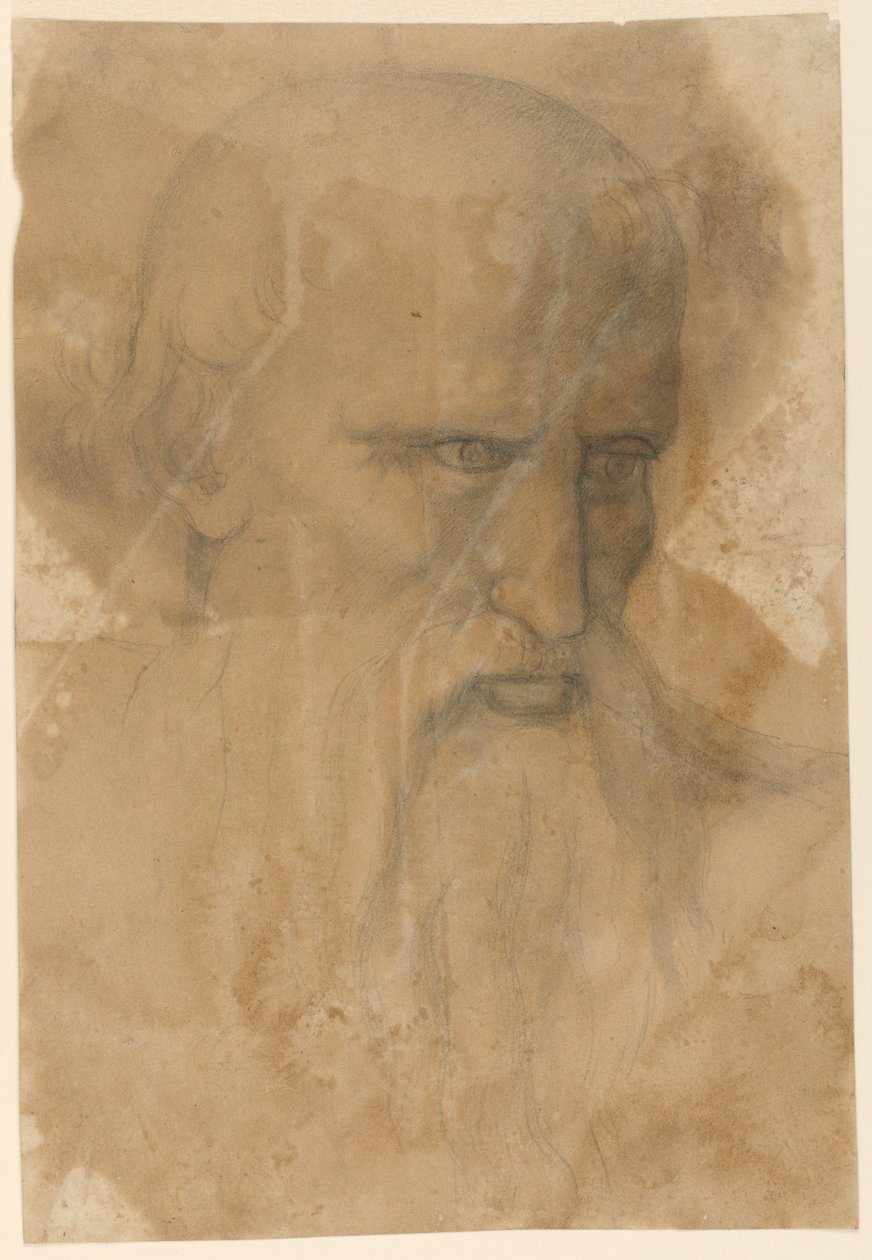 Głowa starszego brodatego mężczyzny autorstwa Unknown artist