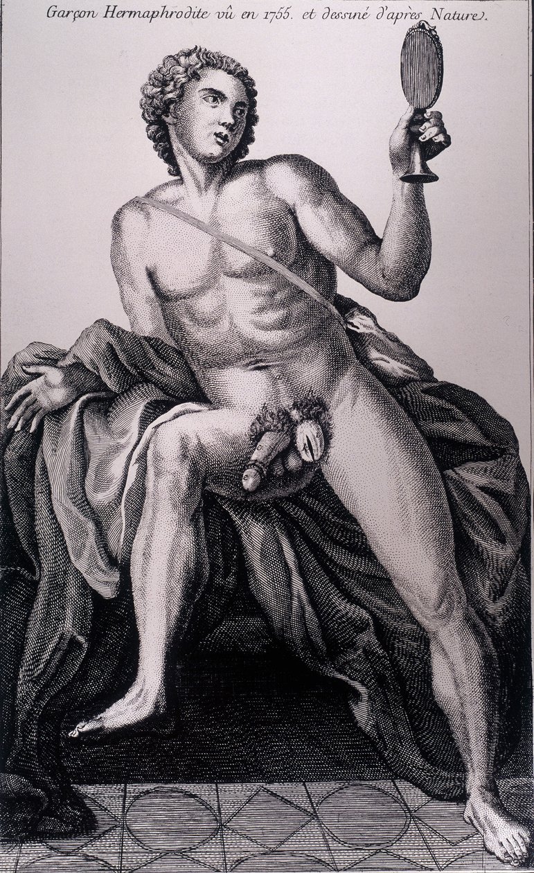 Chłopiec-hermafrodyta widziany w 1755 roku i zaczerpnięty z natury. autorstwa Unknown artist