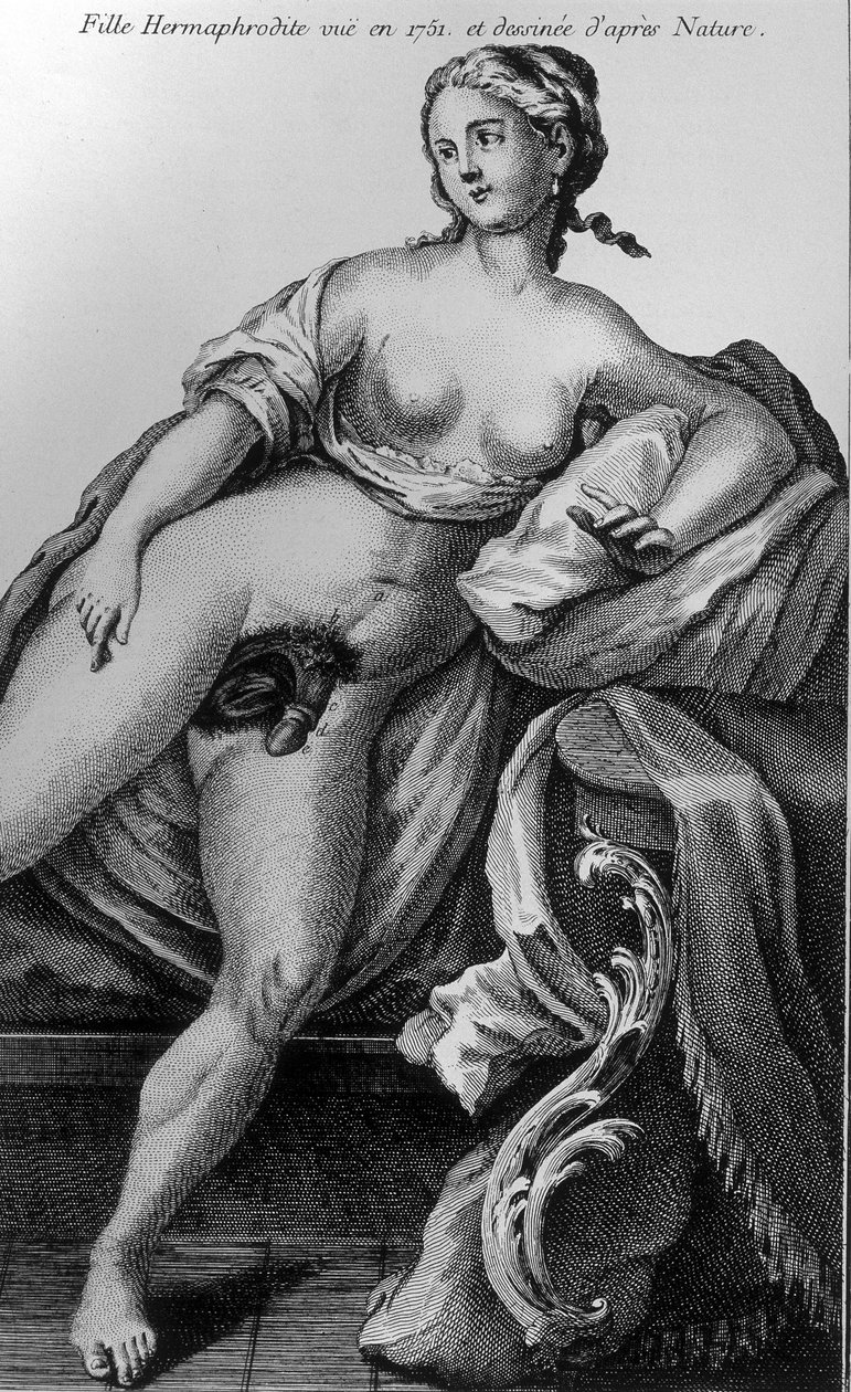 Hermafrodyta widziana w 1751 roku i zaczerpnięta z natury. autorstwa Unknown artist