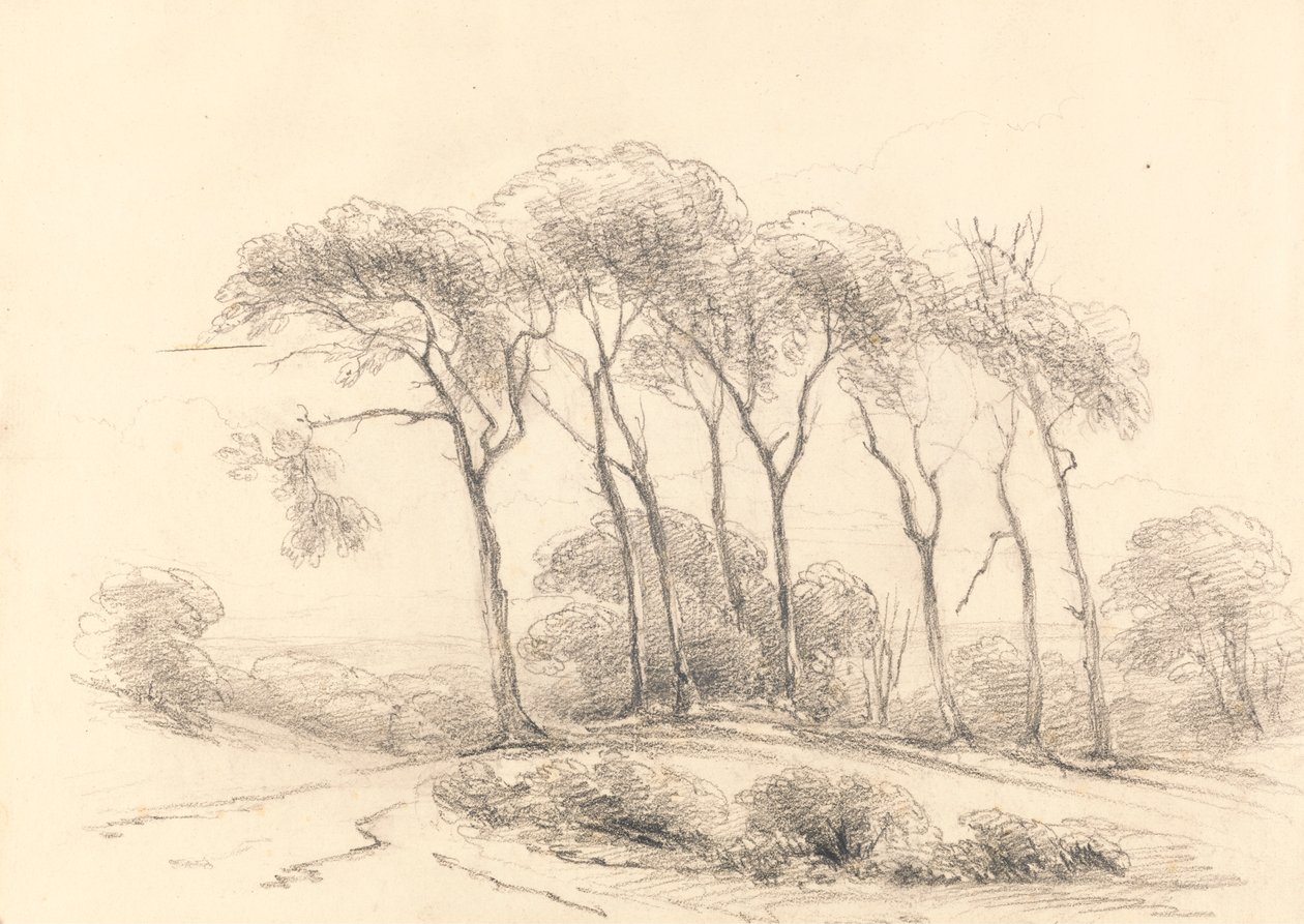 Wysokie drzewa autorstwa Unknown artist