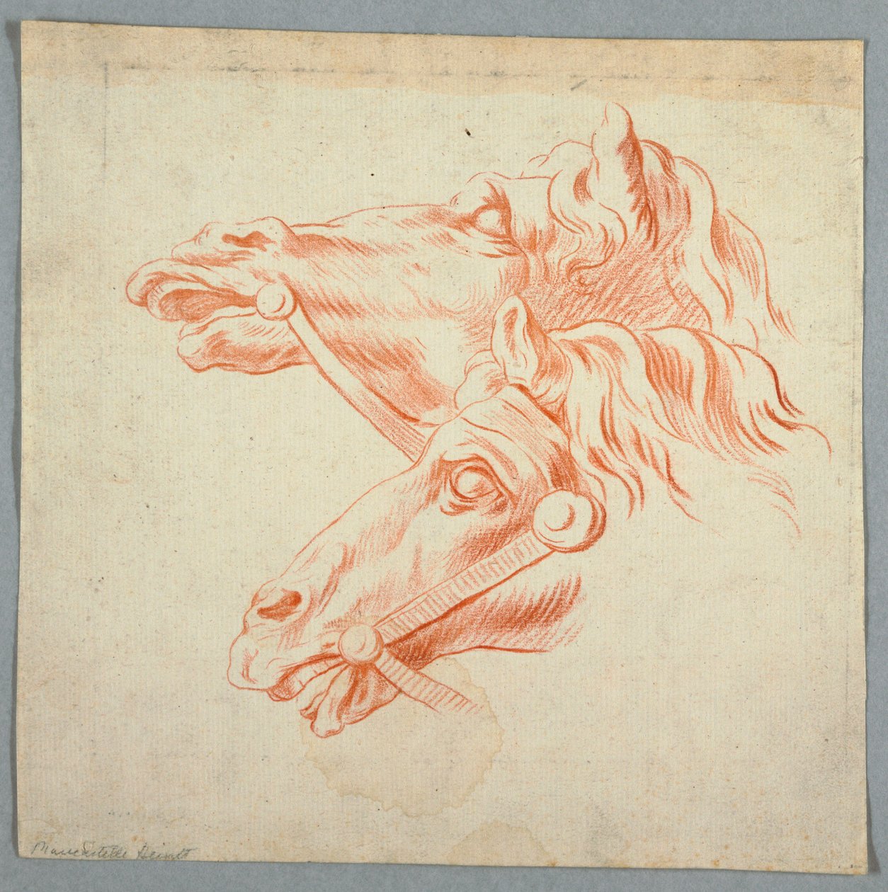 Studia o koniach autorstwa Unknown artist