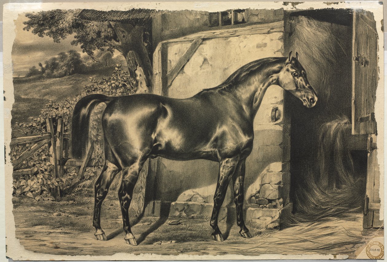 Koń przed stodołą (verso) autorstwa Unknown artist