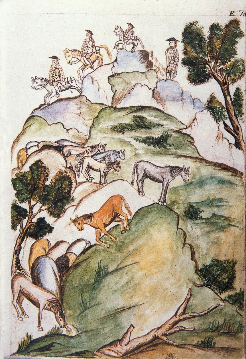 Książka „Trujillo del Peru” lub „Codex Martinez Companion”, autorstwa Baltazara Martineza Companion i Bujandy, biskupa Trujillo (1782-1785) autorstwa Unknown artist