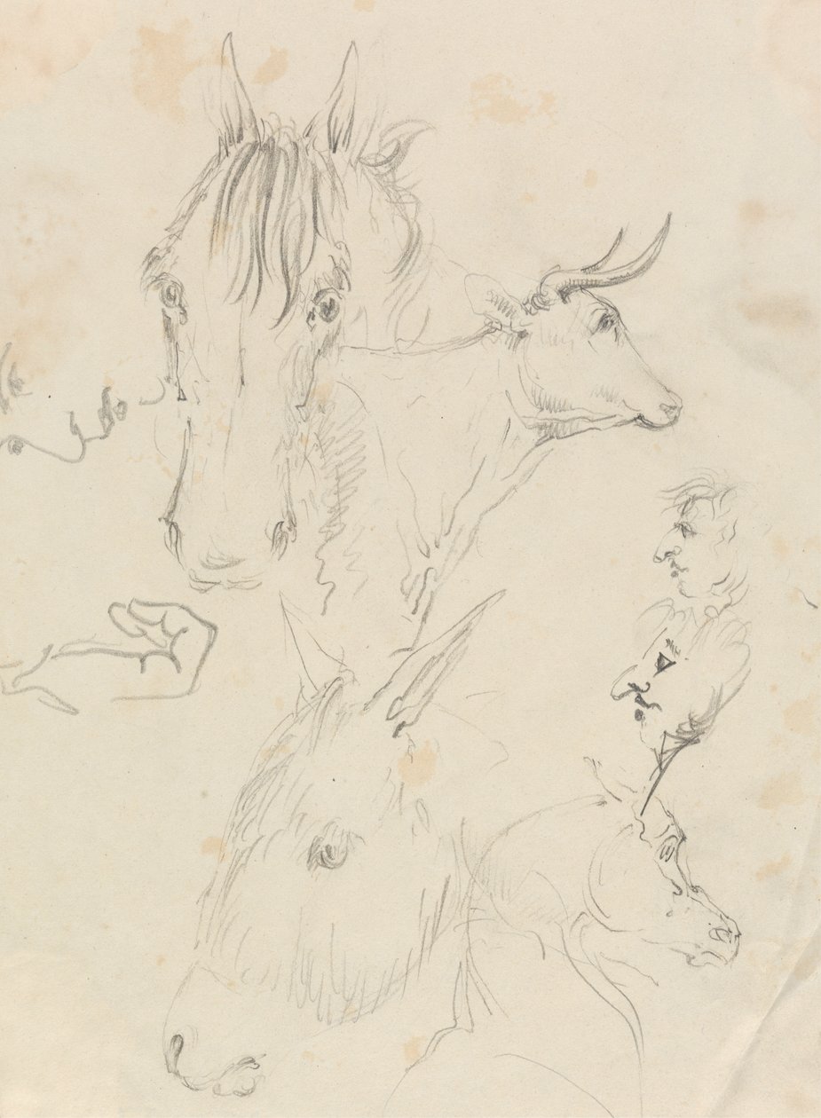 Cavalos, Vacas e Menpolish autorstwa Unknown artist