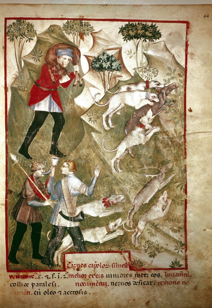 Łowiectwo (Miniatura, XIV w.) autorstwa Unknown artist
