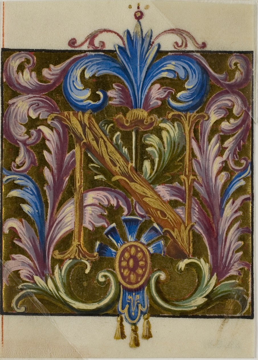 Iluminowany inicjał "N" z liśćmi akantu ze śpiewnika autorstwa Unknown artist