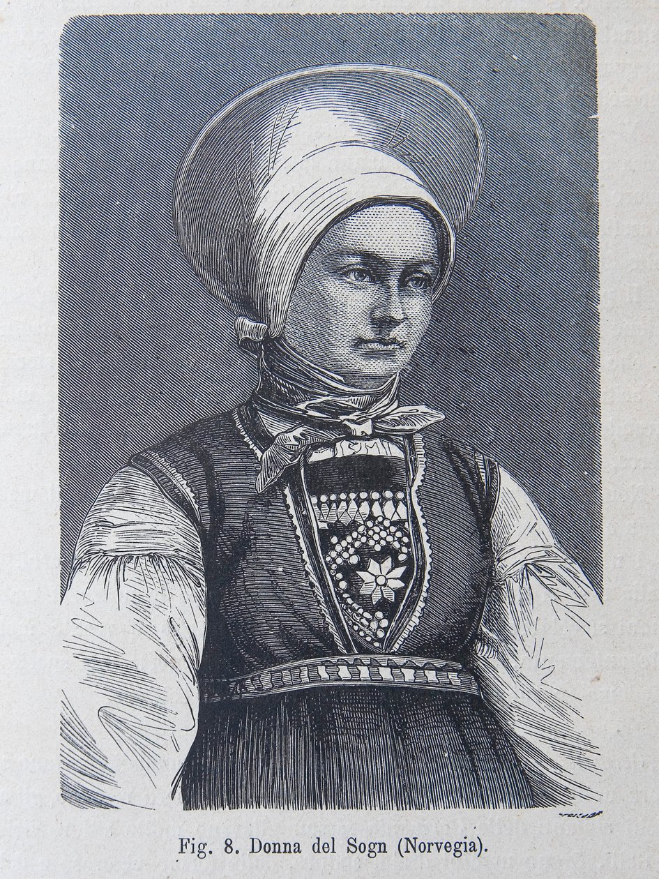 Ilustracja z „Rasy ludzkiej” Louisa Figuier autorstwa Unknown artist