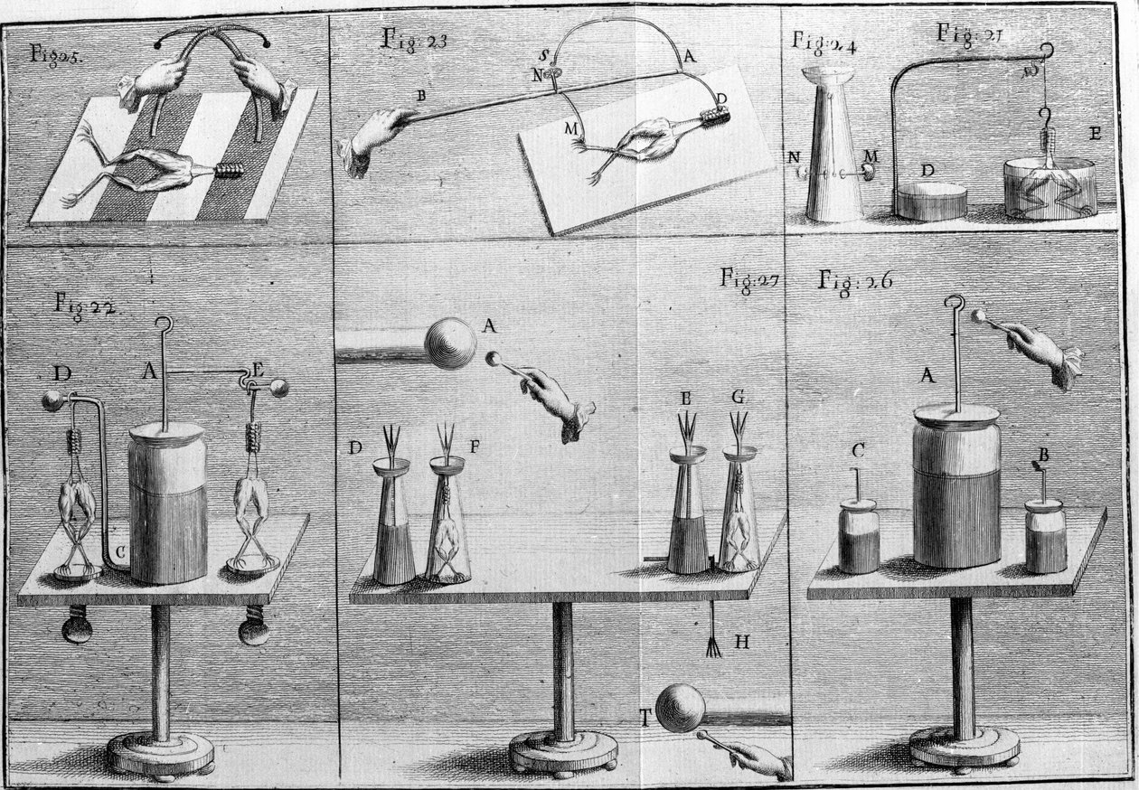 Ilustracja eksperymentów Luigiego Galvani, włoskiego fizyka i lekarza (1737 - 1798) wyjaśniających przepływ prądu elektrycznego poruszającego nogami żaby. autorstwa Unknown artist