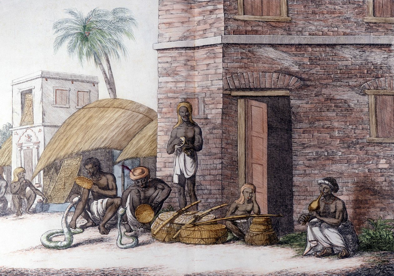 Kultura i cywilizacja indyjska: Zaklinacze węży w Indiach. autorstwa Unknown artist