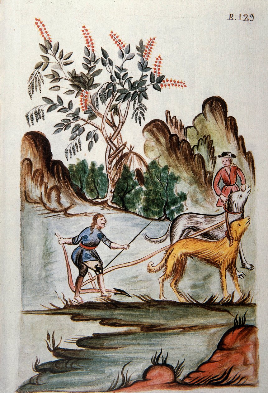 Indianie orający pole psami, z książki „Trujillo del Peru” lub „Kodeks Martinez Companion”, autorstwa Baltazara Martineza Companion i Bujandy, biskupa Trujillo (1782-1785) autorstwa Unknown artist
