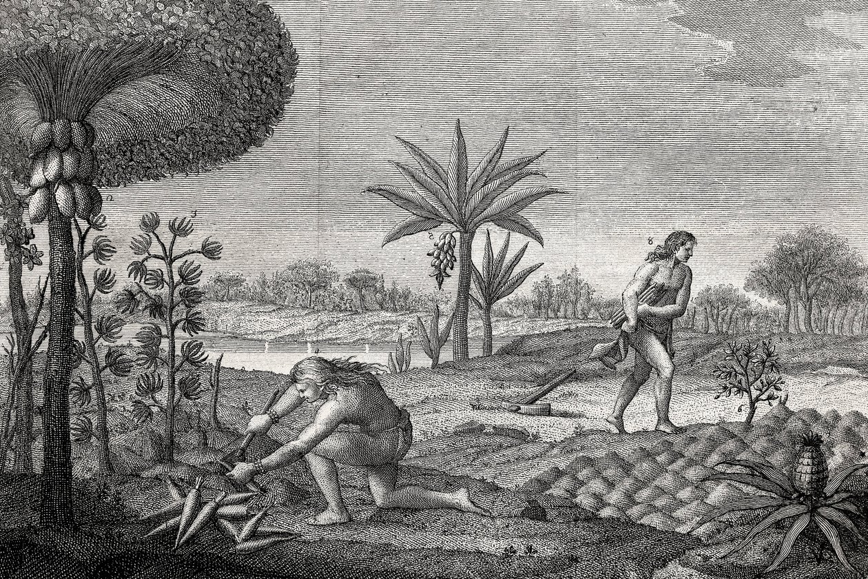 Indigenes uprawiający ziemię w dorzeczu Orenoque w Kolumbii. Grawerowanie 1780 autorstwa Unknown artist