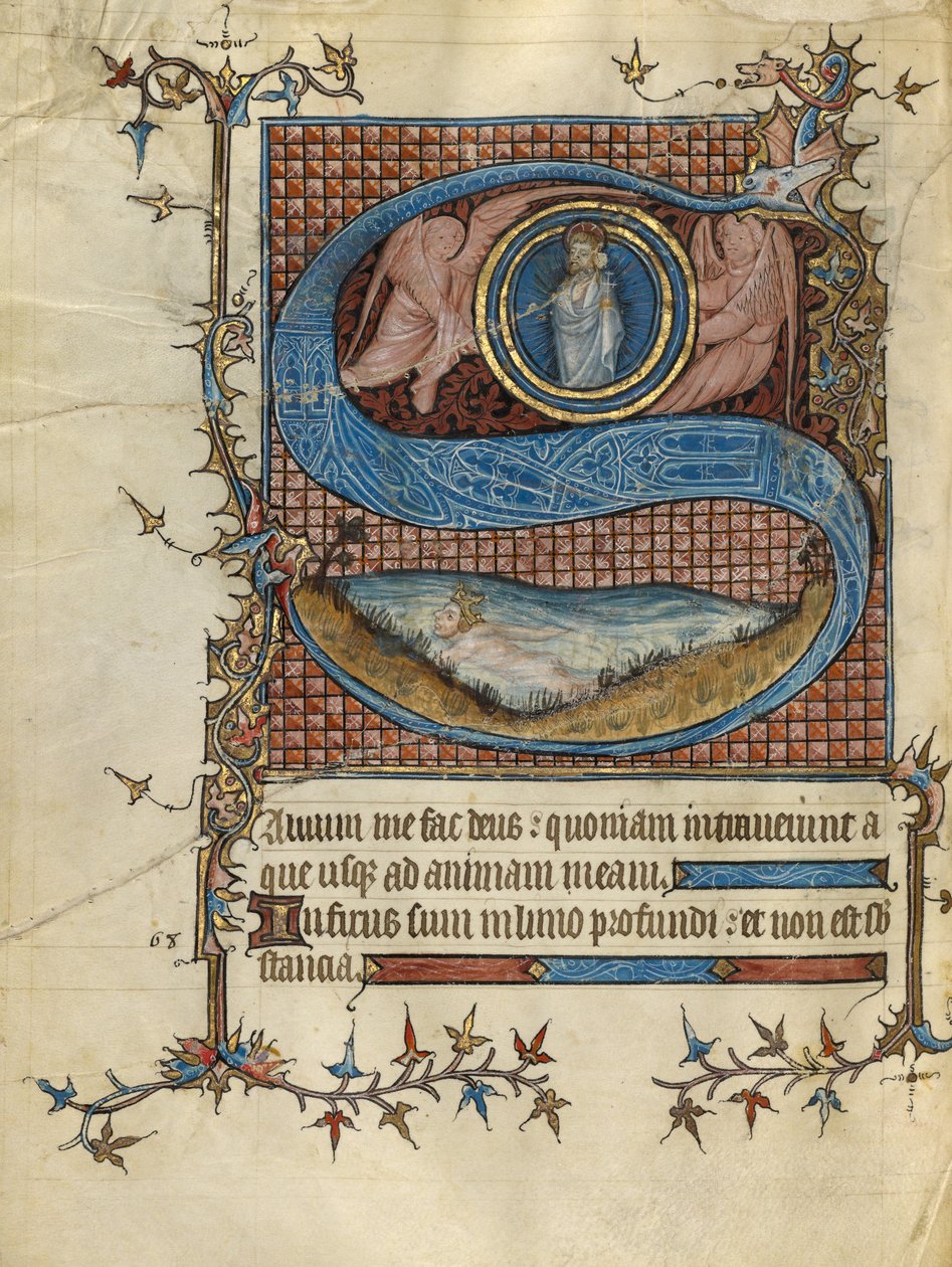 Initial S: David in the Water autorstwa Unknown artist