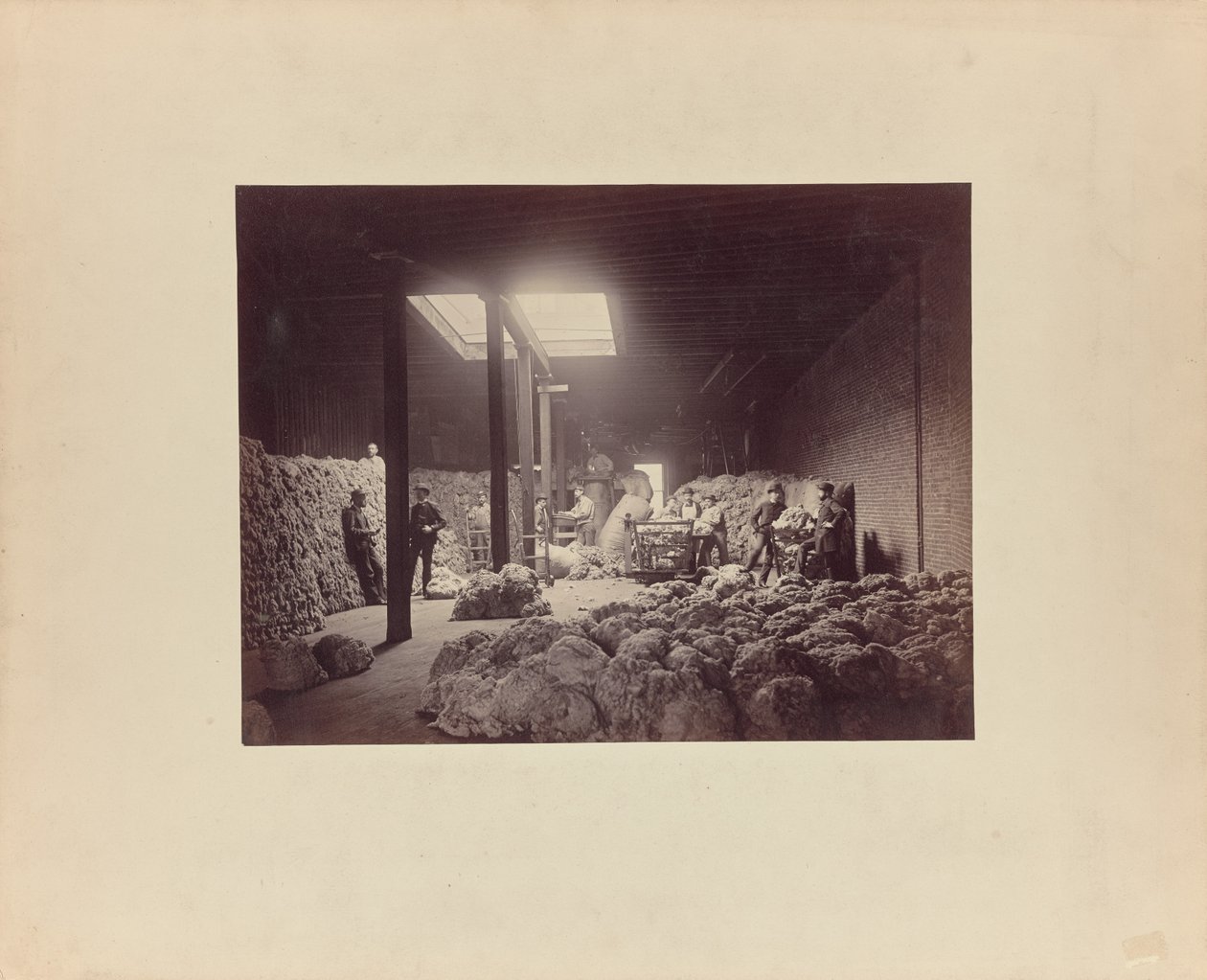 [Wnętrze sortowni wełny, Walter Brown and Company]. autorstwa Unknown artist