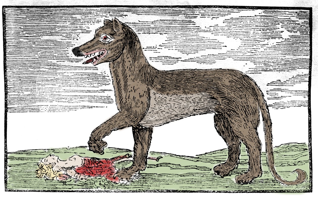 La bete du Gevaudan Rycina z „Kroniki św. Jakuba” autorstwa Unknown artist
