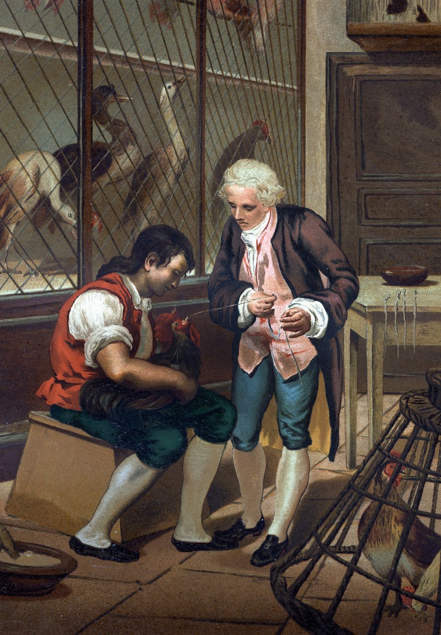Lazzaro Spallanzani (lub Spalanzani autorstwa Unknown artist