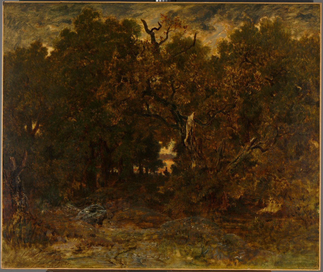 Opuszczanie lasu, Fontainebleau: zachodzące słońce autorstwa Unknown artist