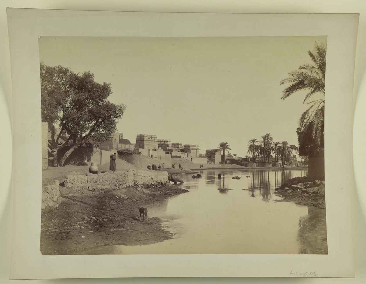 [Luxor] autorstwa Unknown artist