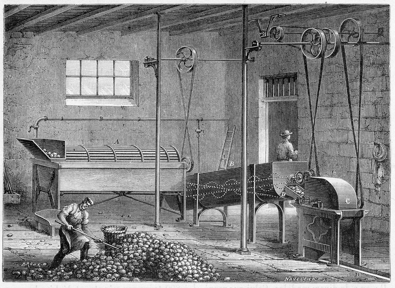Mechaniczna myjka do ziemniaków, a następnie epierror i większe - Figtree autorstwa Unknown artist