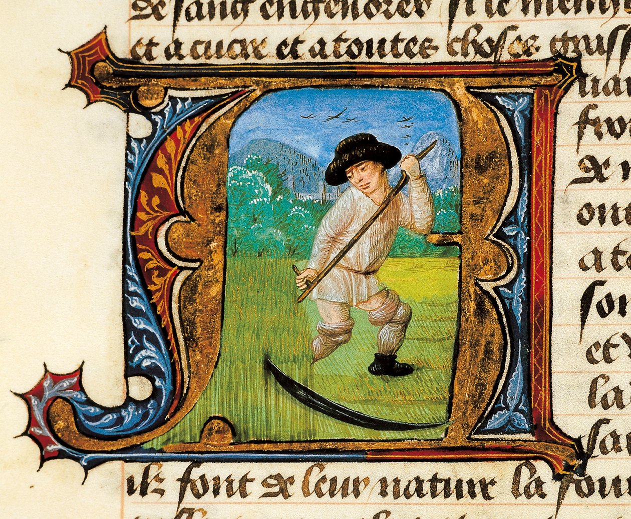 Lekarstwo: chłop koszący pszenicę. Miniatura zaczerpnięta z Traktatu o medycynie autorstwa Aldebrande de Florence (Aldebrando) autorstwa Unknown artist
