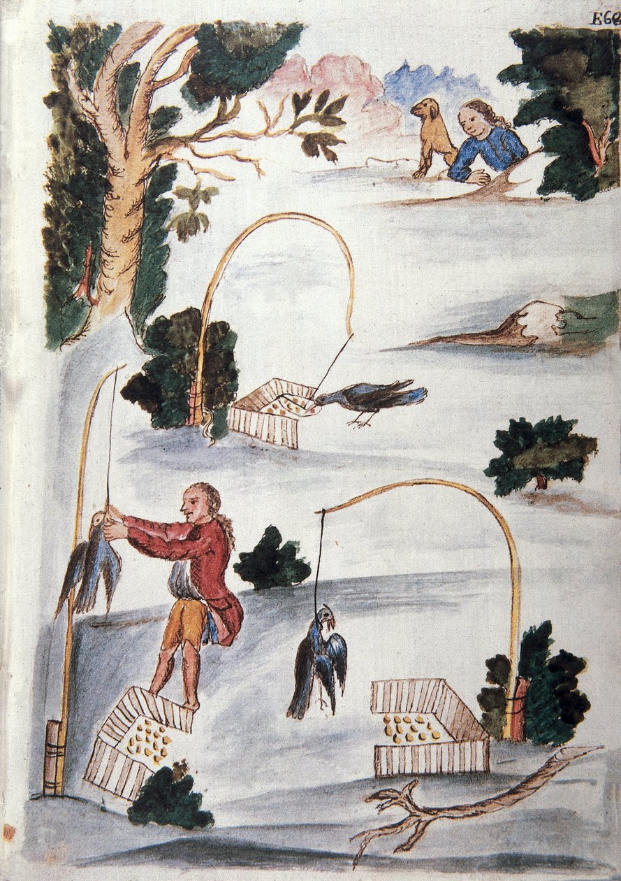 Metoda łapania ptaków na lasso, z książki „Trujillo del Peru” lub „Códice Martínez Compañón”, Baltazara Martineza Compañón y Bujanda, biskupa Trujillo (1782-1785) autorstwa Unknown artist