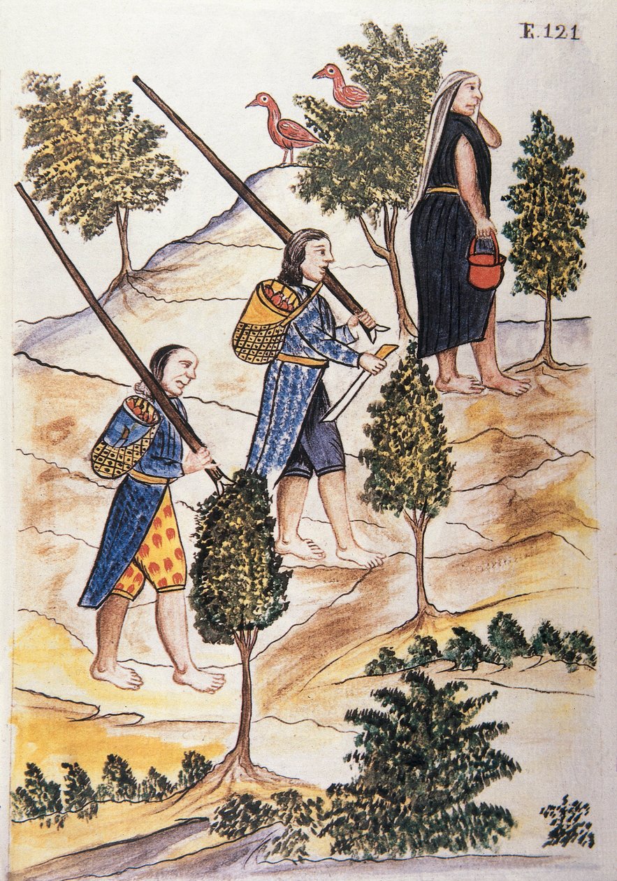 Indianie Motilones wyruszający na polowanie, z książki „Trujillo del Peru” lub „Códice Martínez Compañón”, autorstwa Baltazara Martineza Compañón y Bujanda, biskupa Trujillo (1782-1785) autorstwa Unknown artist