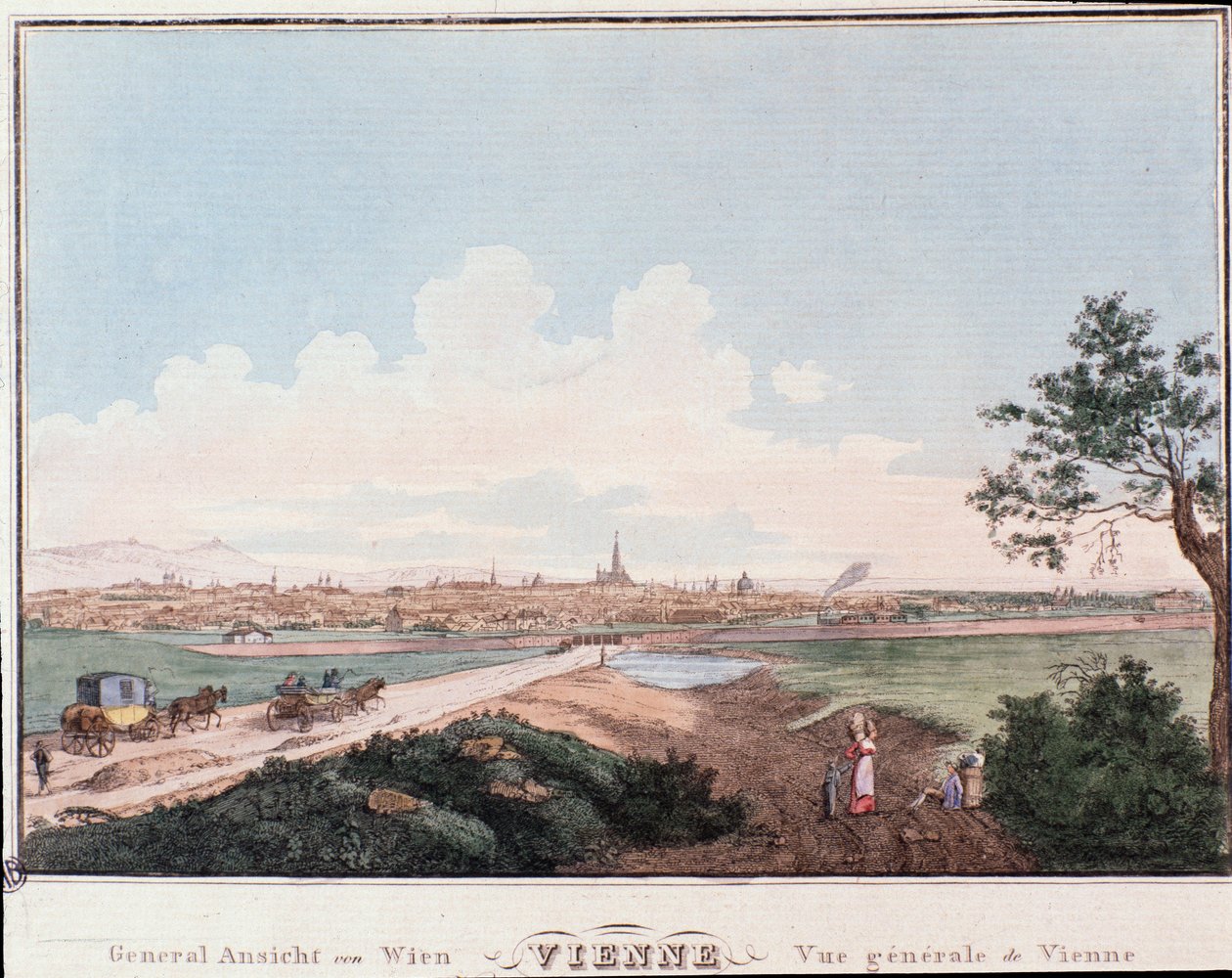 Przegląd miasta Wiednia z mostem na Dunaju. Grawer Austria z 1830 r. Kolekcja prywatna autorstwa Unknown artist
