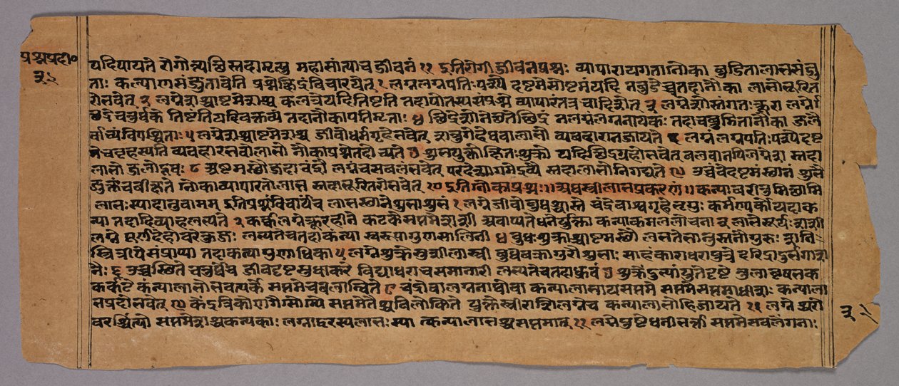 Strona z Prasnapradipy, hinduskiego tekstu astrologicznego autorstwa Unknown artist