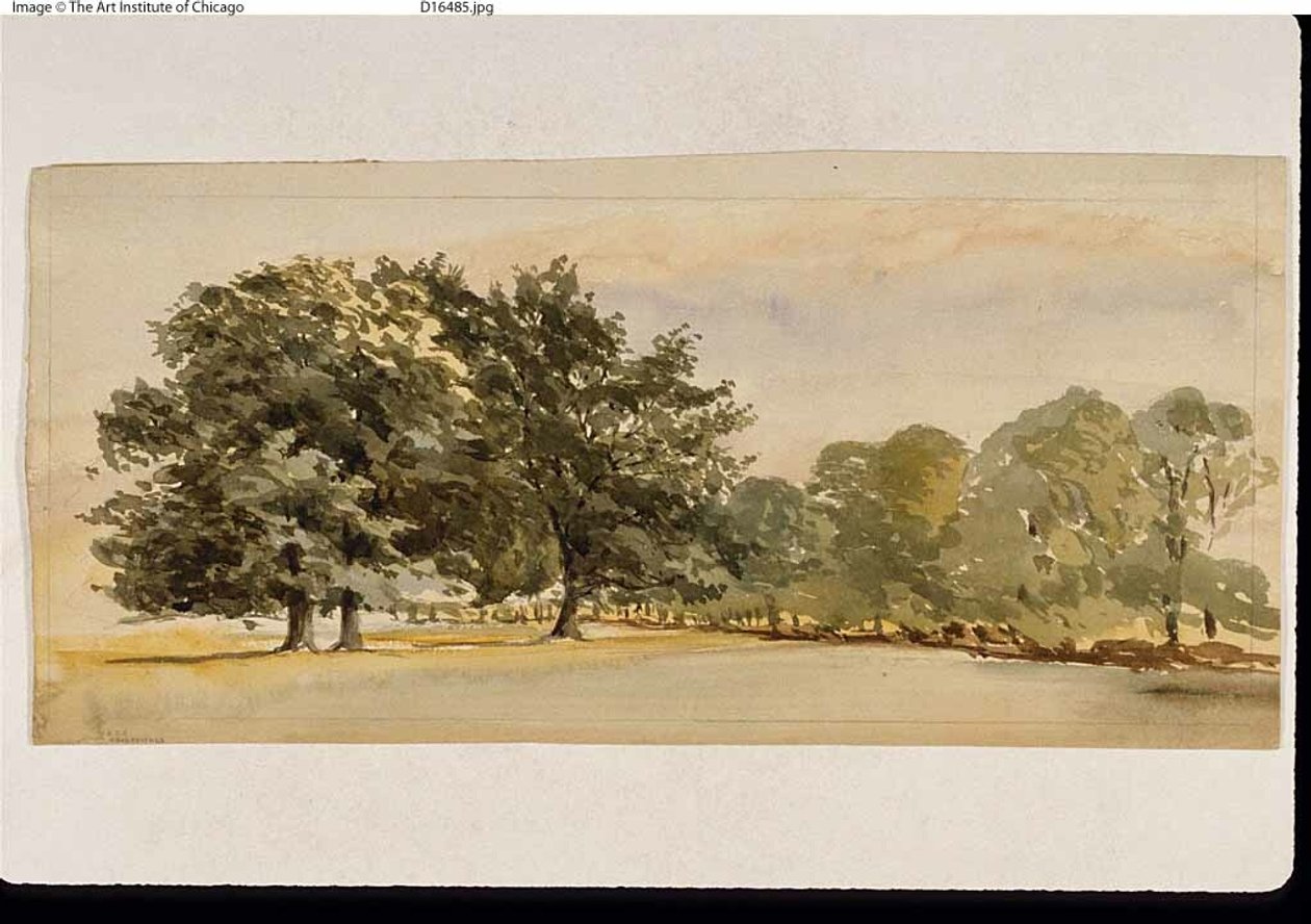 Panorama zalesionego gaju (recto); Pejzaż z lasem po prawej (verso) autorstwa Unknown artist