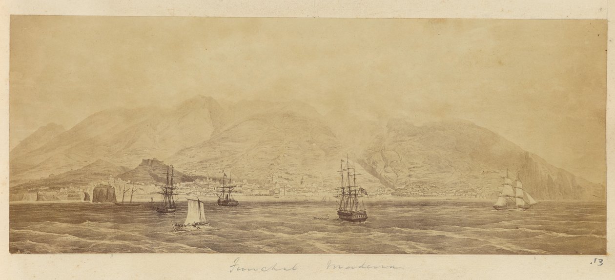 [Panorama portu, Funchal, Madera]. autorstwa Unknown artist
