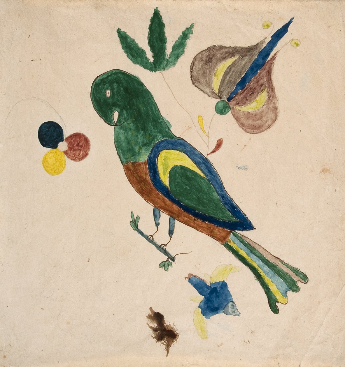 Papuga długoogonowa autorstwa Unknown artist
