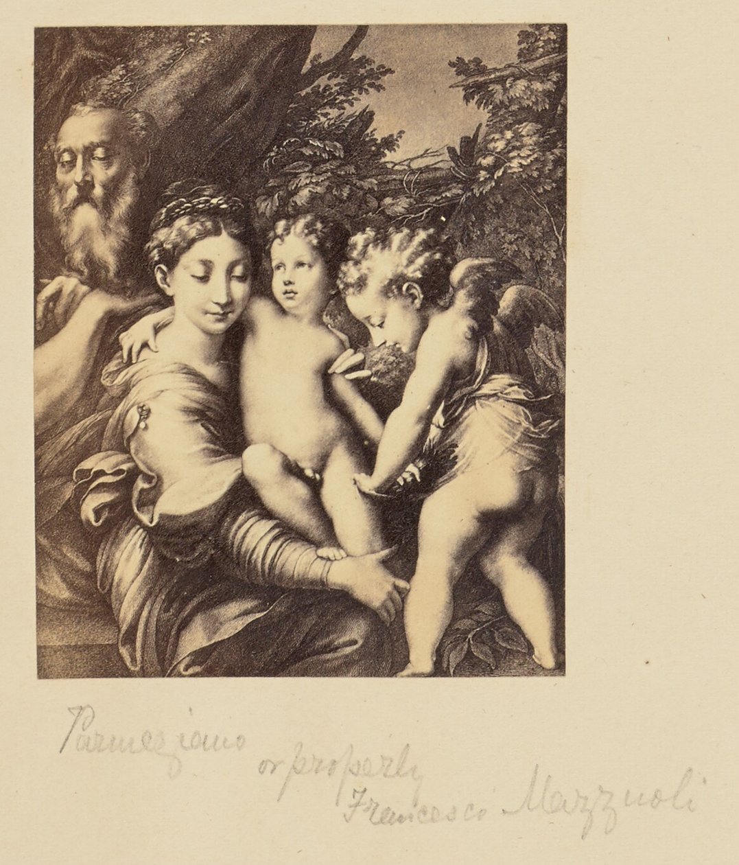 Parmegiano [sic] lub właściwie Francesco Mazzuoli autorstwa Unknown artist