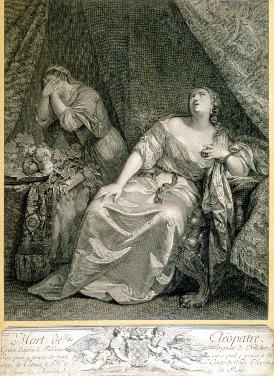 Trująca Kleopatra - Holandia autorstwa Unknown artist