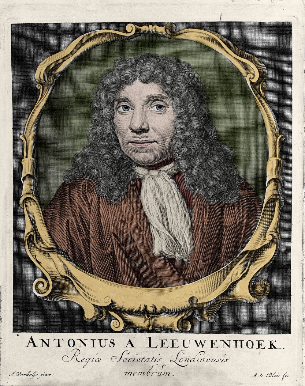 Portret Antonie Van Leeuwenhoek lub Antona van Leeuwenhoek lub Leeuwenhoek lub Leeuwenhoeck. Holenderski przyrodnik (1632-1723). grawerunek z 1722 roku. autorstwa Unknown artist