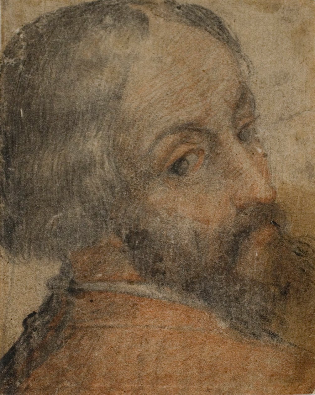 Portret brodatego mężczyzny (Lodovico Ariosto) autorstwa Unknown artist