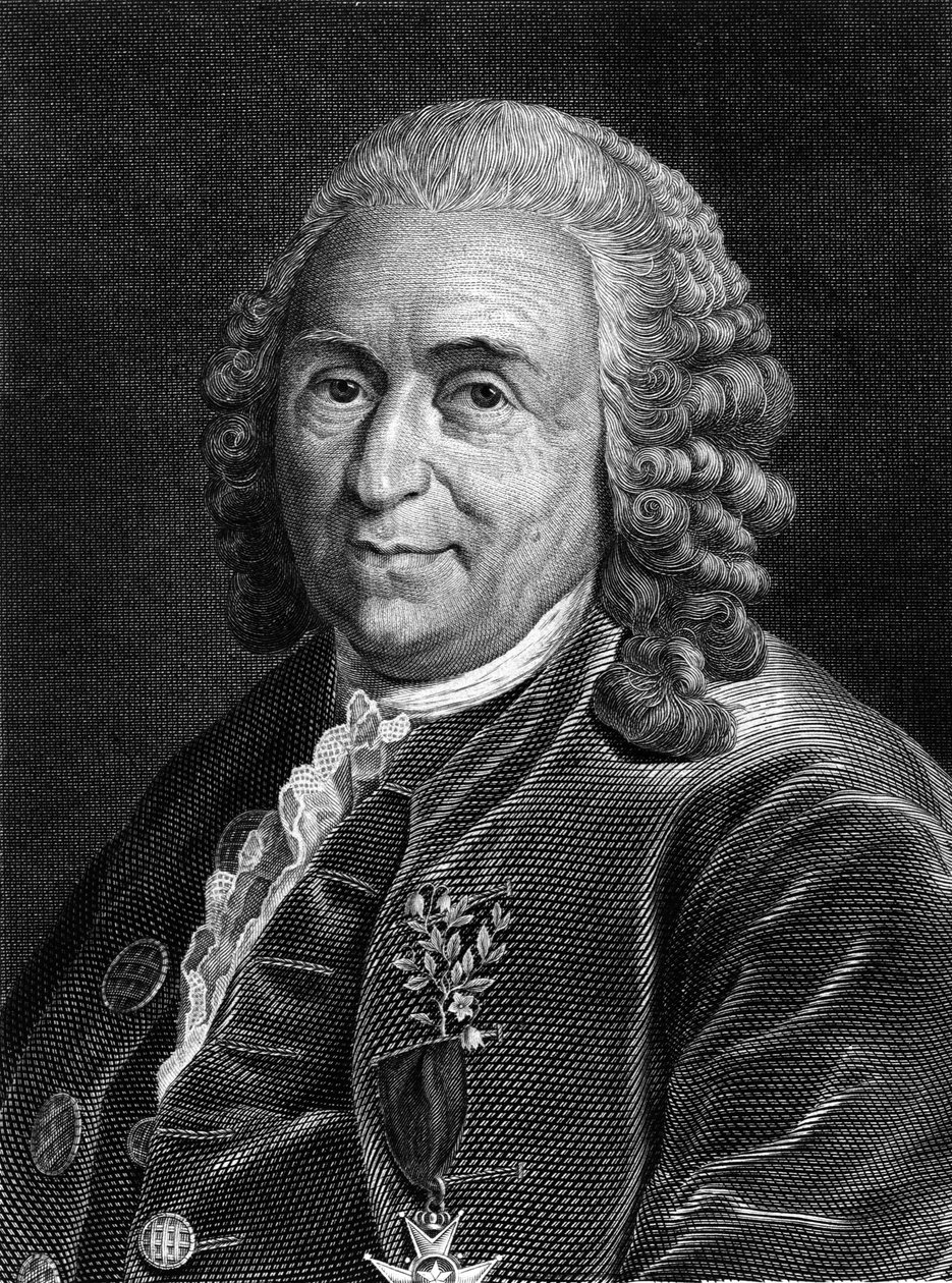 Portret Carla Von Linné szwedzkiego przyrodnika i pisarza (1707 - 1778). Św. rycina z XIX wieku. autorstwa Unknown artist