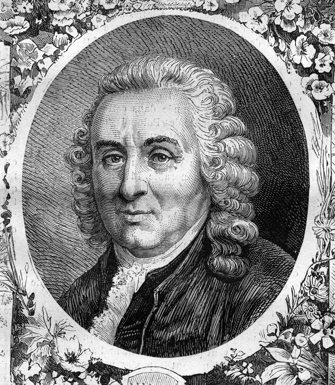 Portret Karola Linne (Carl von Linne, Carl Linneus) (1707-1778), szwedzkiego przyrodnika. Grawerowanie z 1878 roku. autorstwa Unknown artist