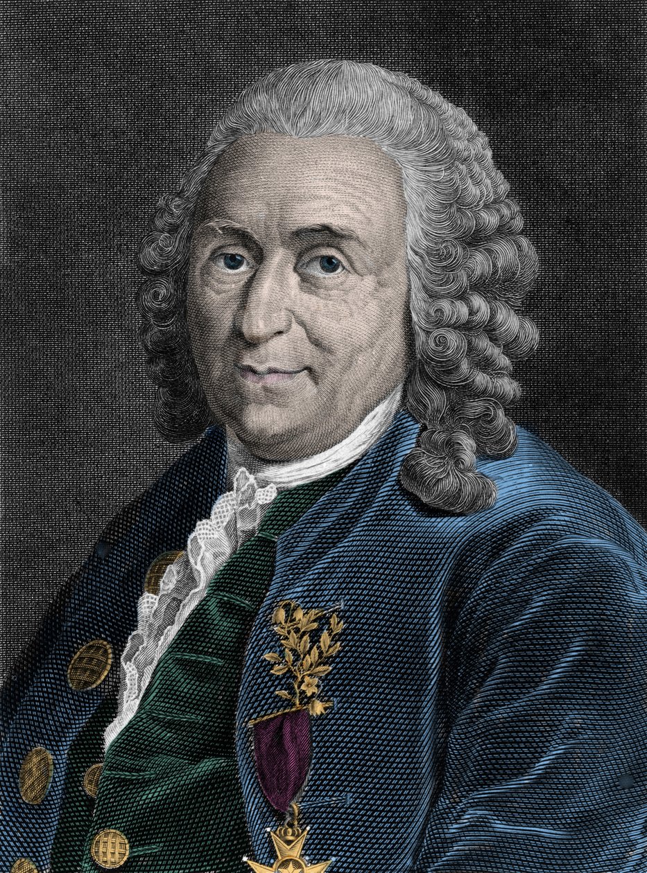 Portret Karola Linne (Carl von Linne, Linneus 1707-1778), szwedzkiego przyrodnika. Rycina XIX wieku. autorstwa Unknown artist