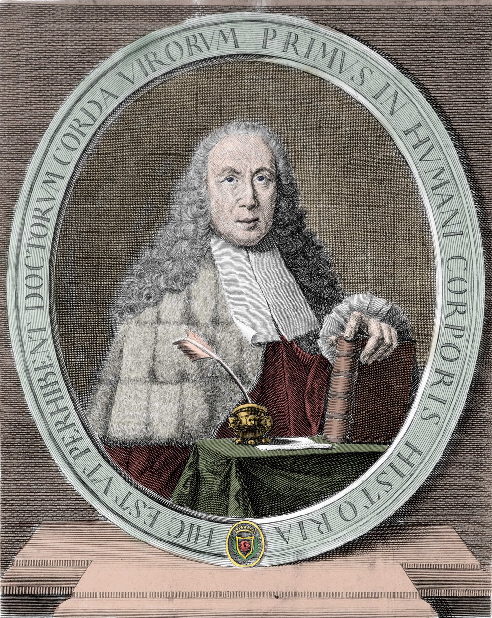 Portret Giovanniego Battisty Morgagni (1682-1771) Włoski lekarz i anatom. mediolański. autorstwa Unknown artist