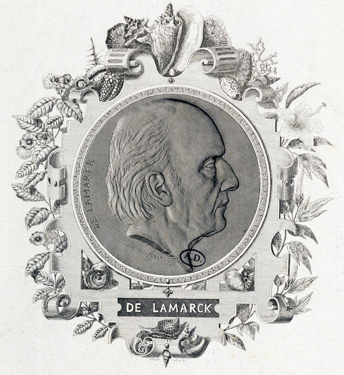 Portret Jeana Baptiste Lamarcka - grawer autorstwa Unknown artist