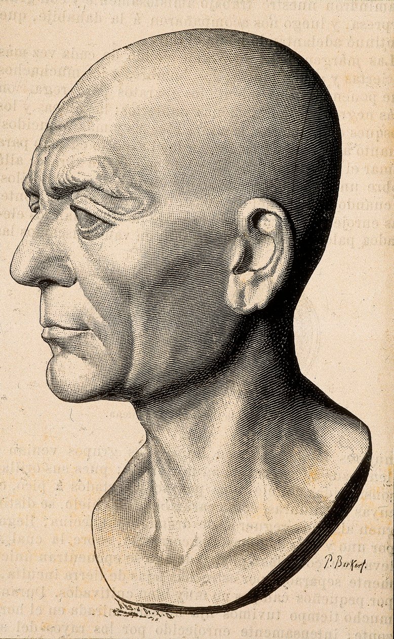 Portret Publiusza Korneliusza Scypiona Afrykańskiego, rzymskiego męża stanu (235-183 p.n.e.). autorstwa Unknown artist
