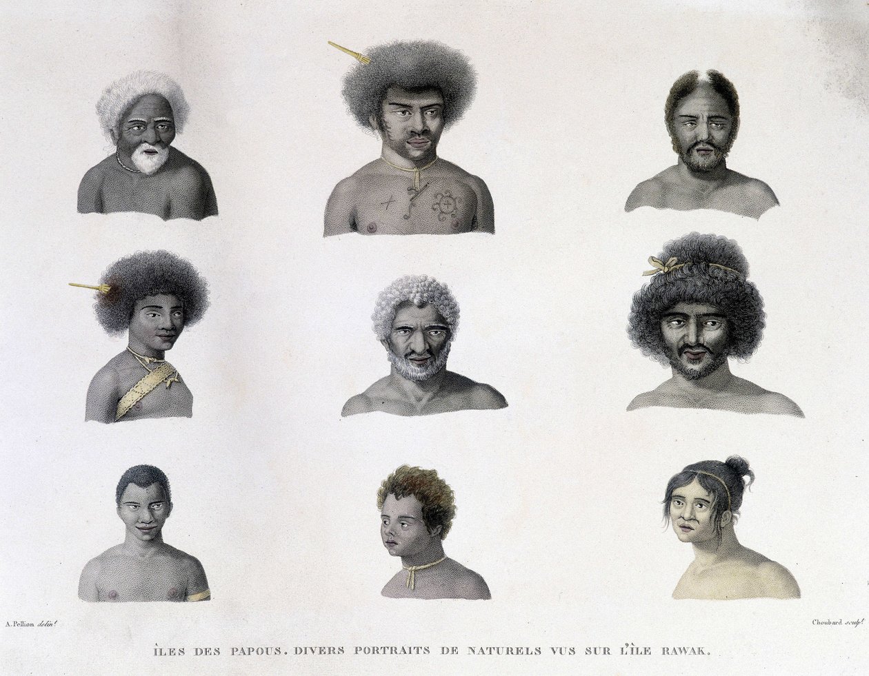 Portrety Papui z wyspy Rawak. autorstwa Unknown artist