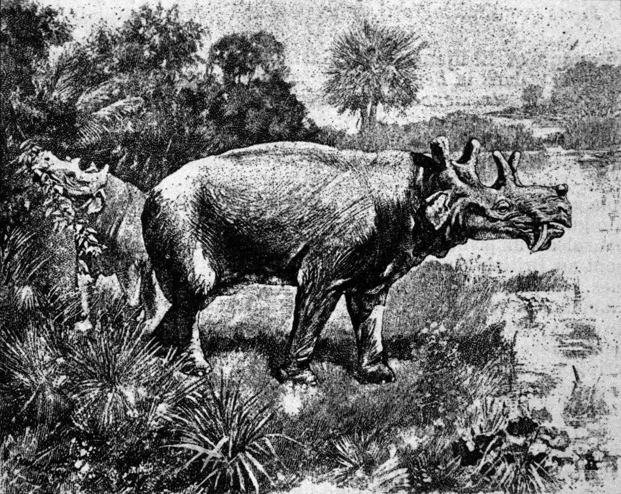Prehistoria: przedstawienie czterorożnego dinozaura Uintatherium. autorstwa Unknown artist
