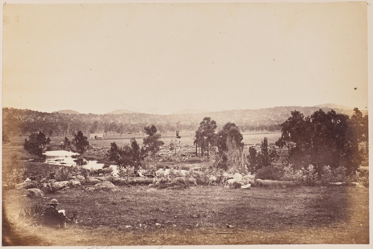 Rangers Valley, północny wschód, Glen Innes autorstwa Unknown artist