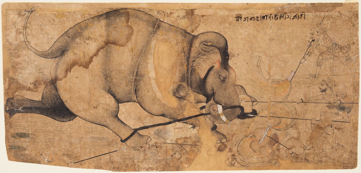 Rao Ram Singh I’s Elephant Gone Amok autorstwa Unknown artist