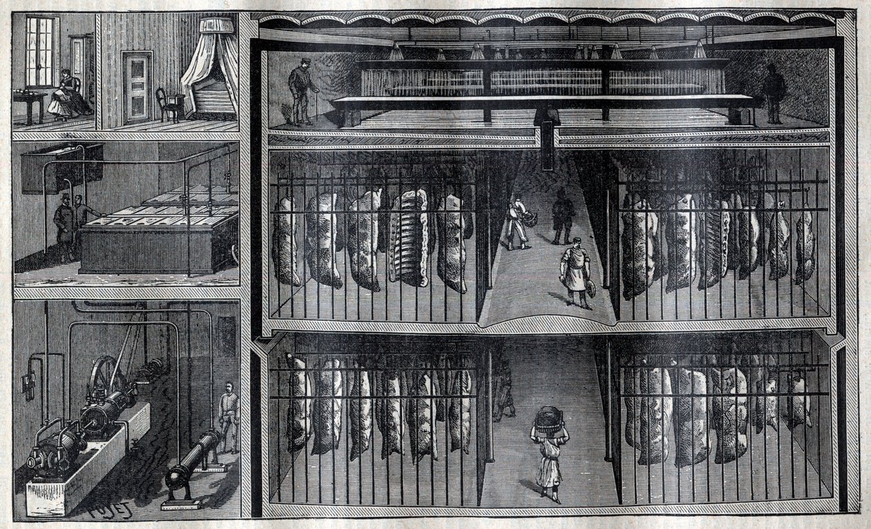 Chłodnie na mięso - Grawerowanie z „La Science francaise”” autorstwa Unknown artist