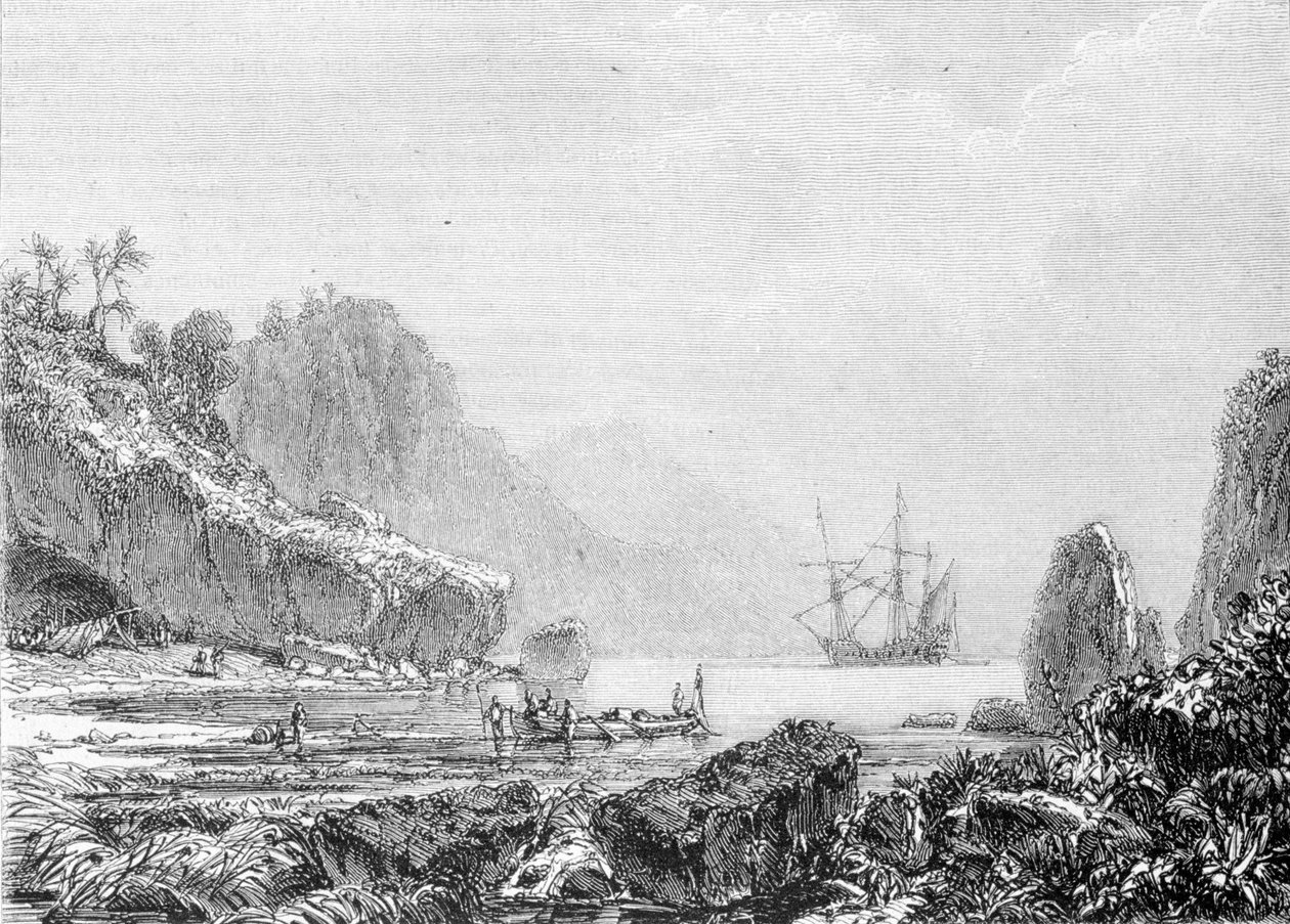 Reprezentacja Wyspy Żółwi. Grawerowanie XIX wieku. autorstwa Unknown artist