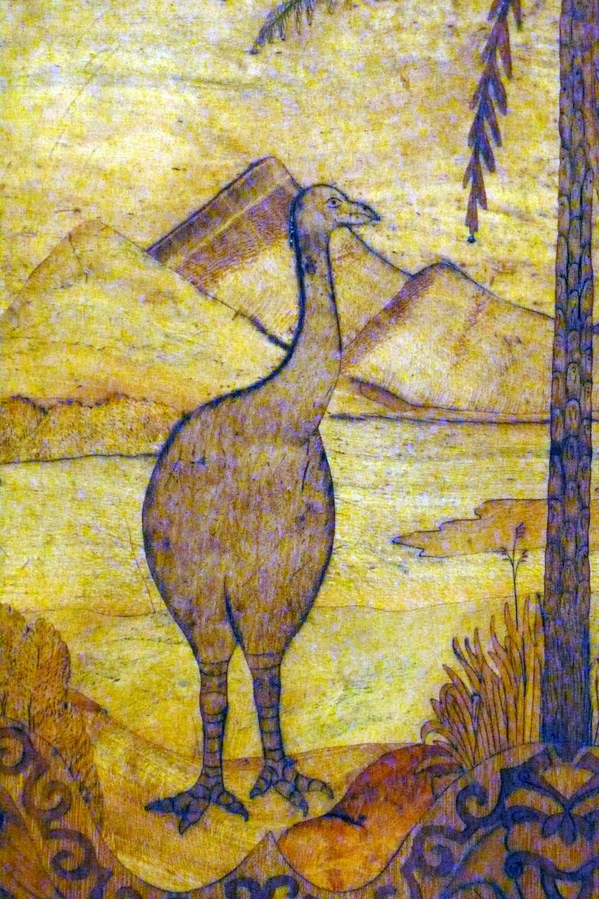 Reprezentacja Moa z Nowej Zelandii, słabej rasy olbrzymiego ptaka niezdolnego do latania. 18 wiek autorstwa Unknown artist