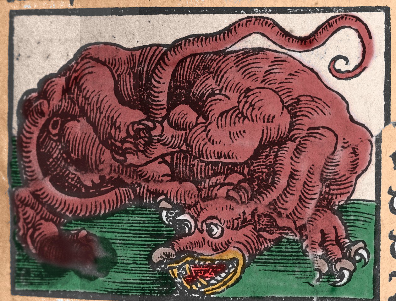 Reprezentacja smoka. Grawer z „Den Ellen Strength Beste Fromen” Johanna Stumpffa. 1550 autorstwa Unknown artist