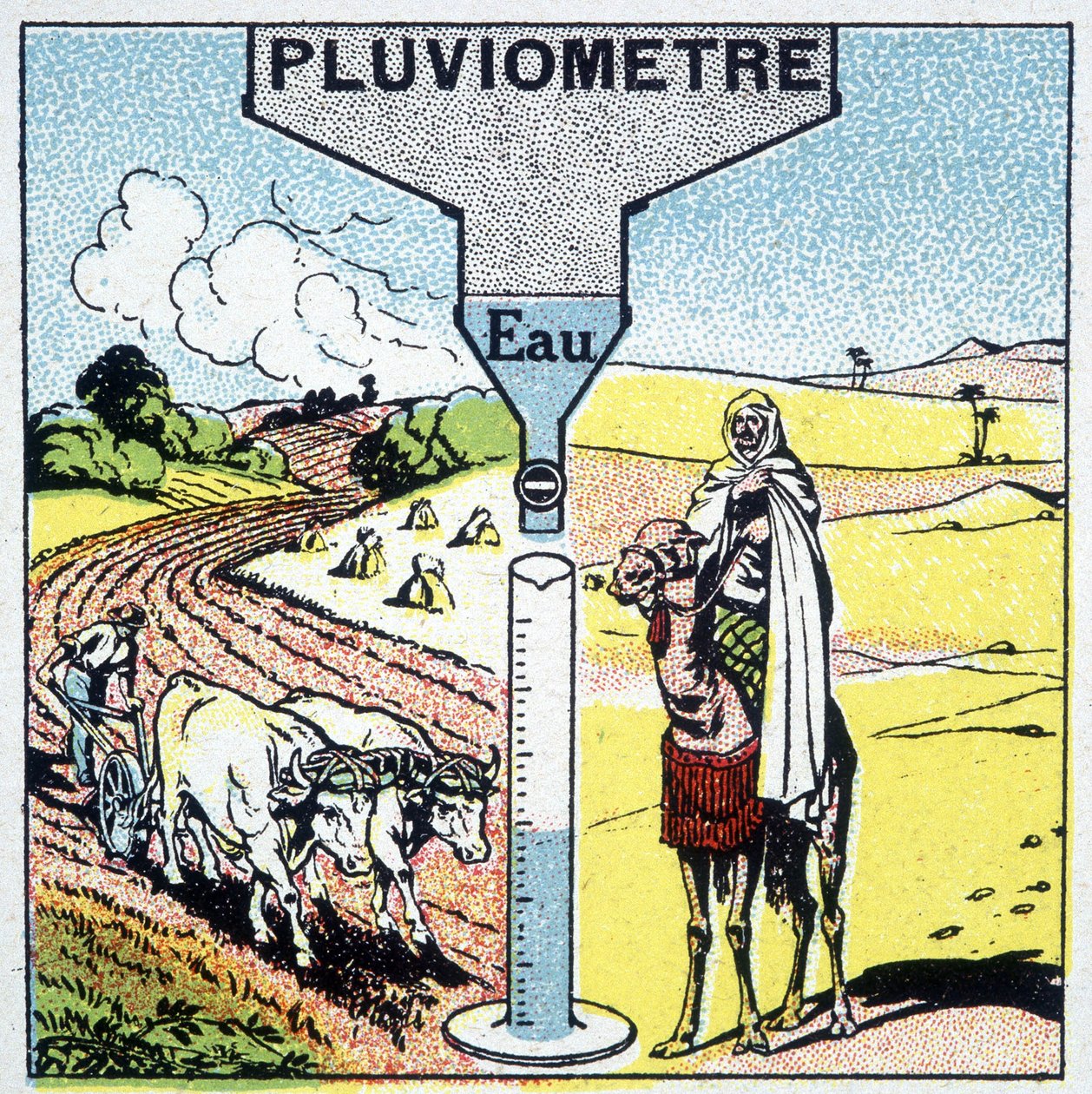 Reprezentacja opadów i ich skutków w różnych regionach oraz ich wpływ na rolnictwo. autorstwa Unknown artist