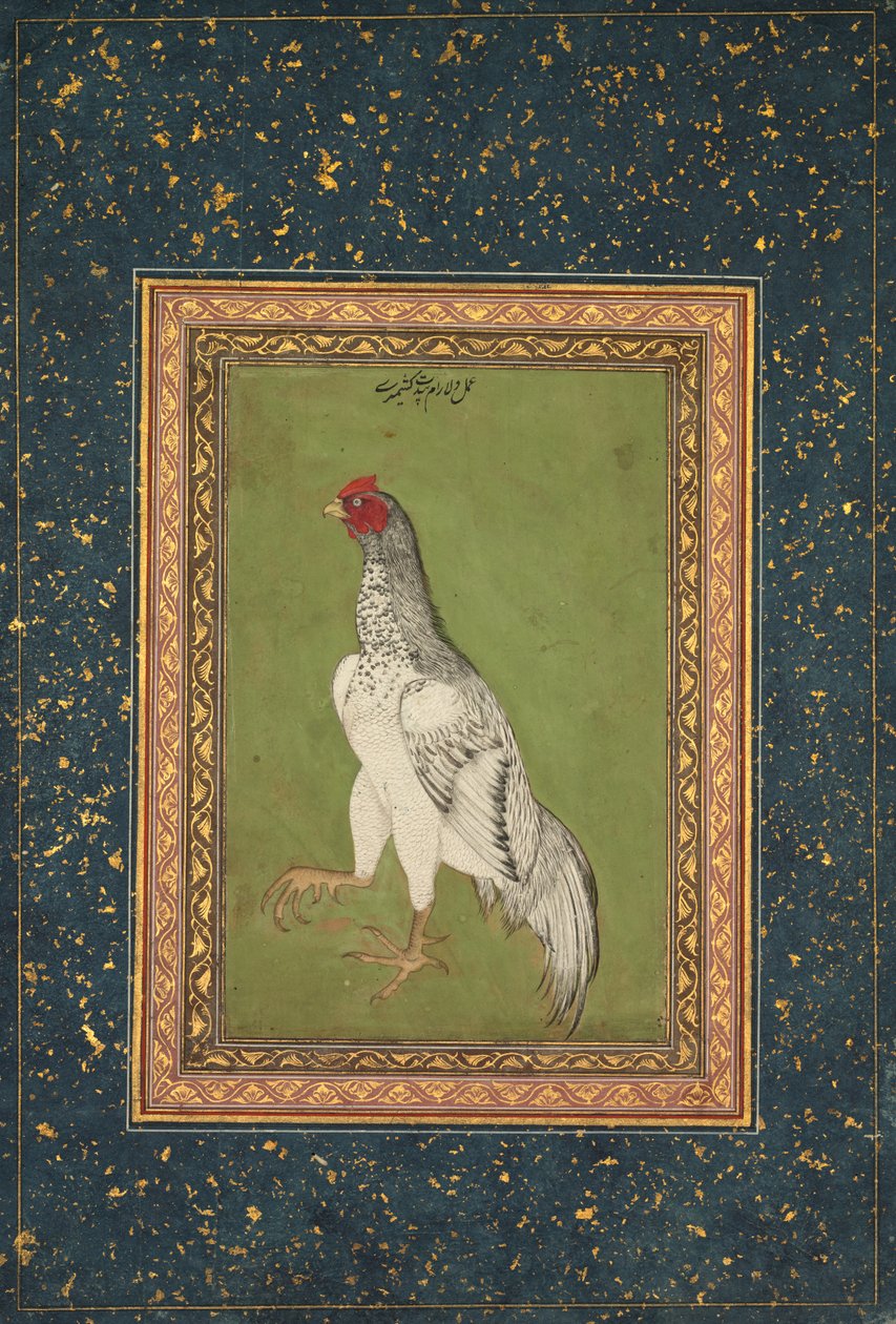 Kogut autorstwa Unknown artist